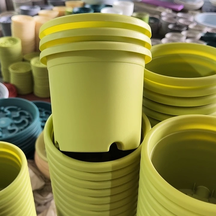 四季2#口径17果绿6个带托