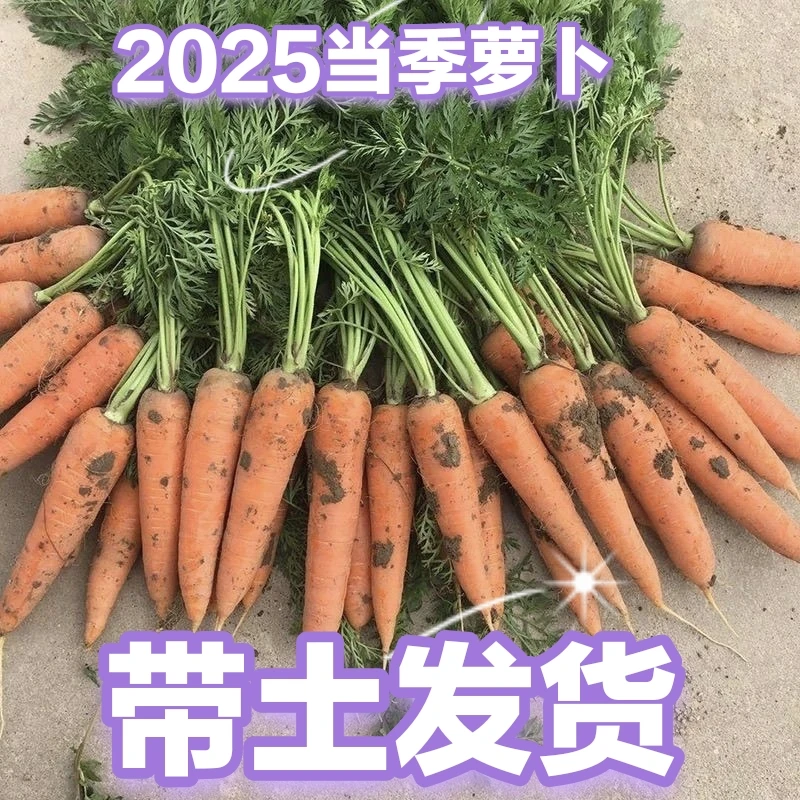 农家自种新鲜胡萝卜当季健康绿色蔬菜水果脆甜多汁可口现拔现发货