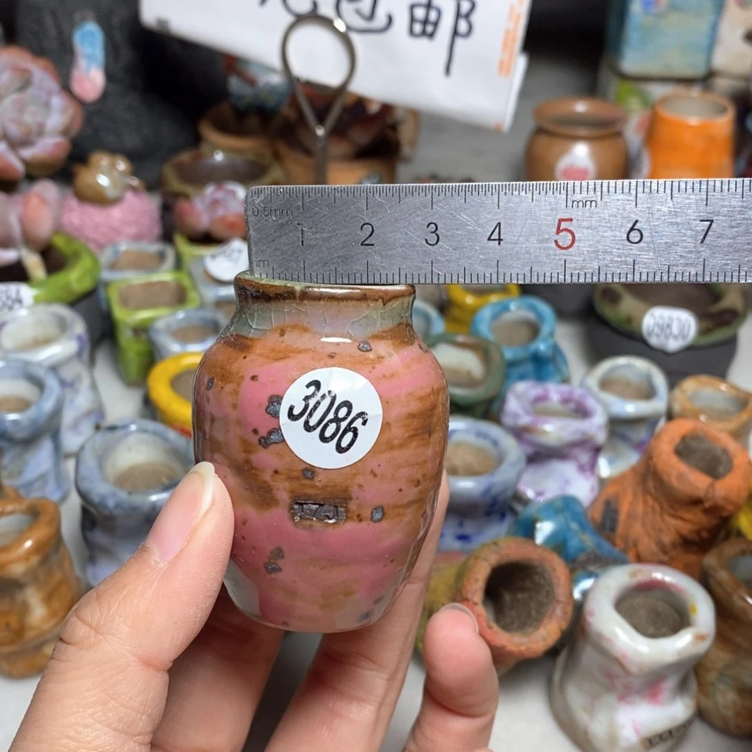 拍5送一个小礼物