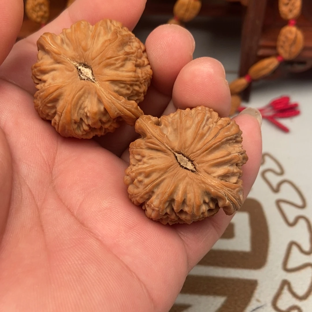 看***海大叶紫檀（黑酸枝木类）