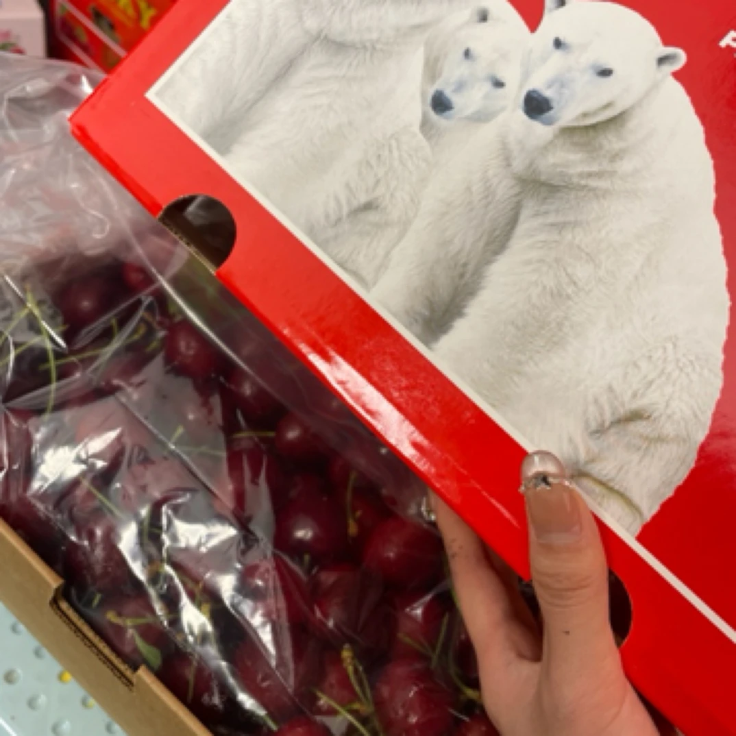 智利车厘子拉宾斯冰熊3J5斤带盒原装