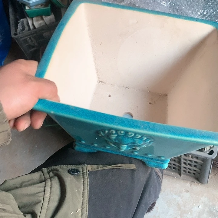 紫砂哈哈真的是太给力太火爆了不是吗