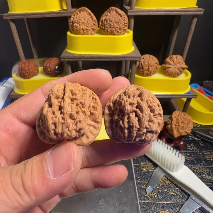 我***头核桃全品无修将军