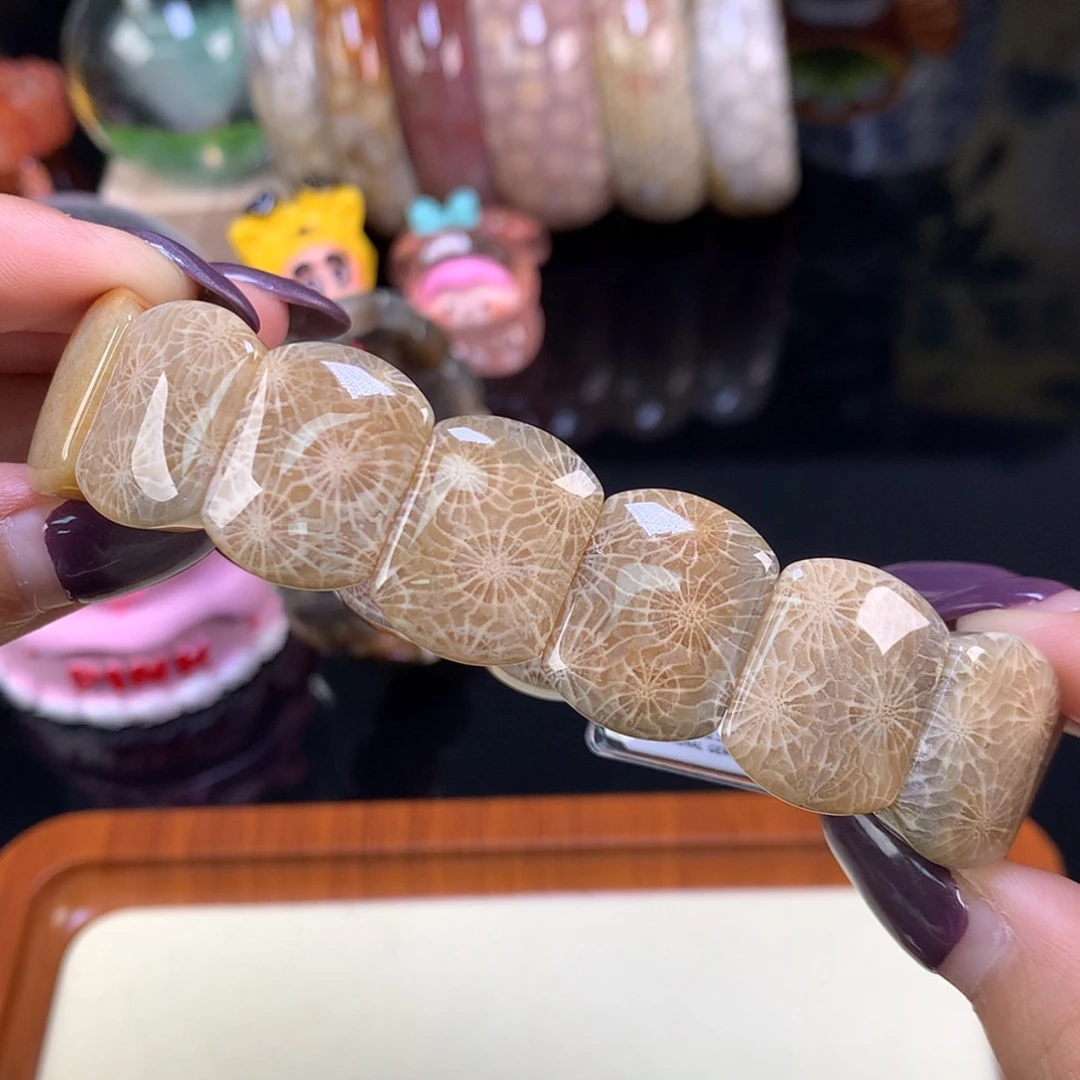 【闪购商品】颈饰未镶嵌硅化珊瑚（珊瑚玉）福利200漏128（31号）