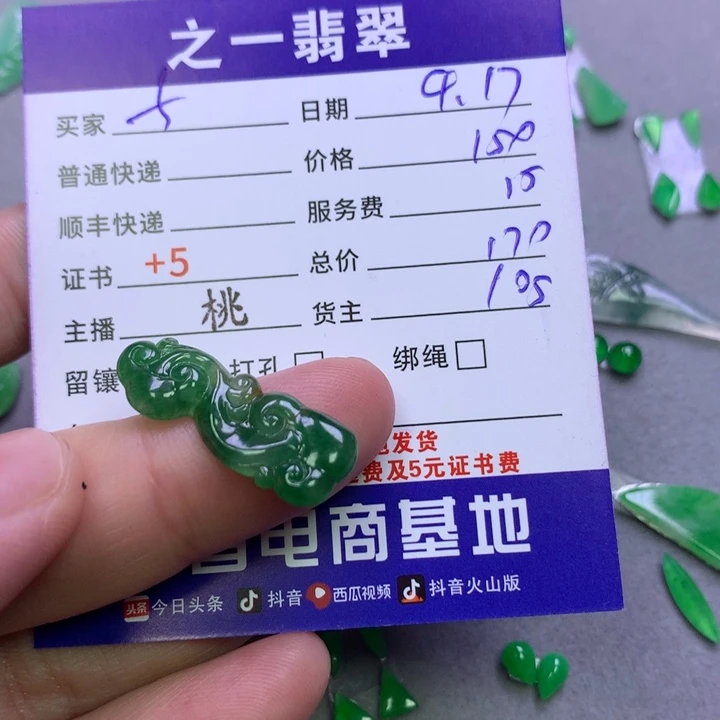 翡翠未镶嵌颈饰f****油