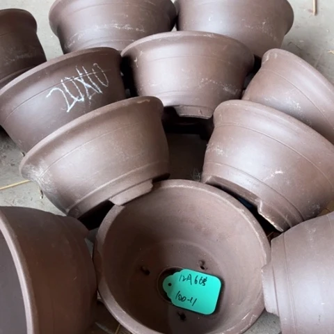 50-5。     20-10。