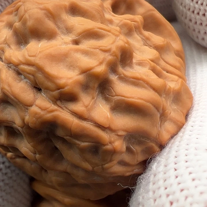 吊坠文玩核桃原树桃花裕114