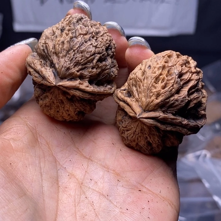 文玩核桃把件云南野生铁核桃173号43mm
