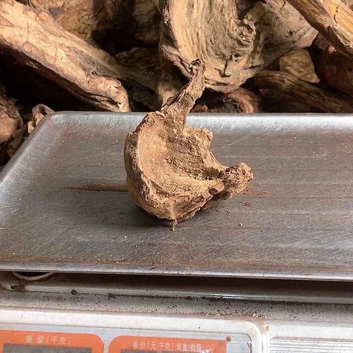 花梨木类点**不海南花梨