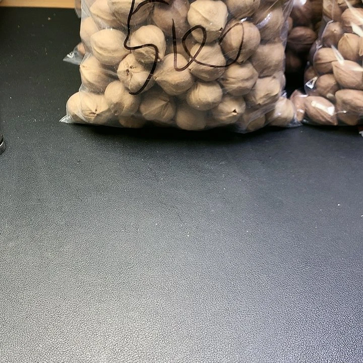 吊坠橄榄核慢*苏州的一家人都