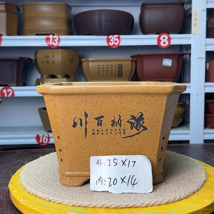 花盆紫砂蛇年大吉