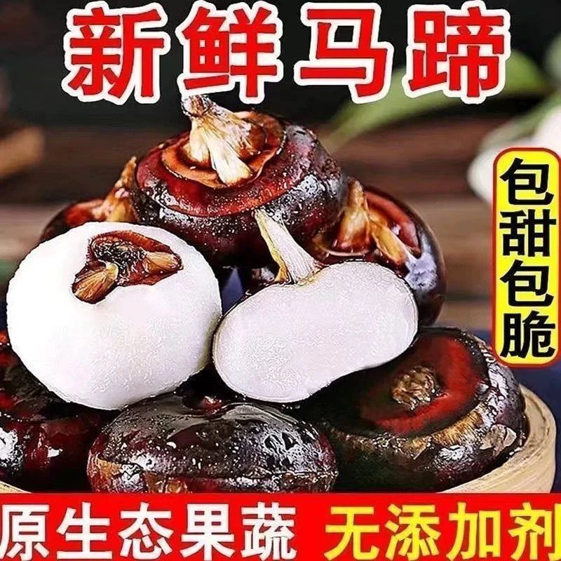 【拍三斤送两斤到手5斤】马蹄荸荠新鲜应当季现挖带泥脆甜饽荠水果
