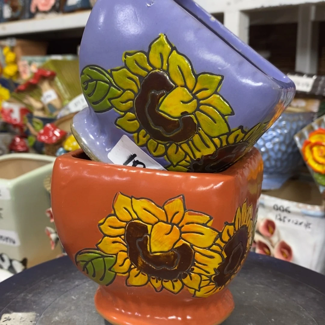 【闪购商品】