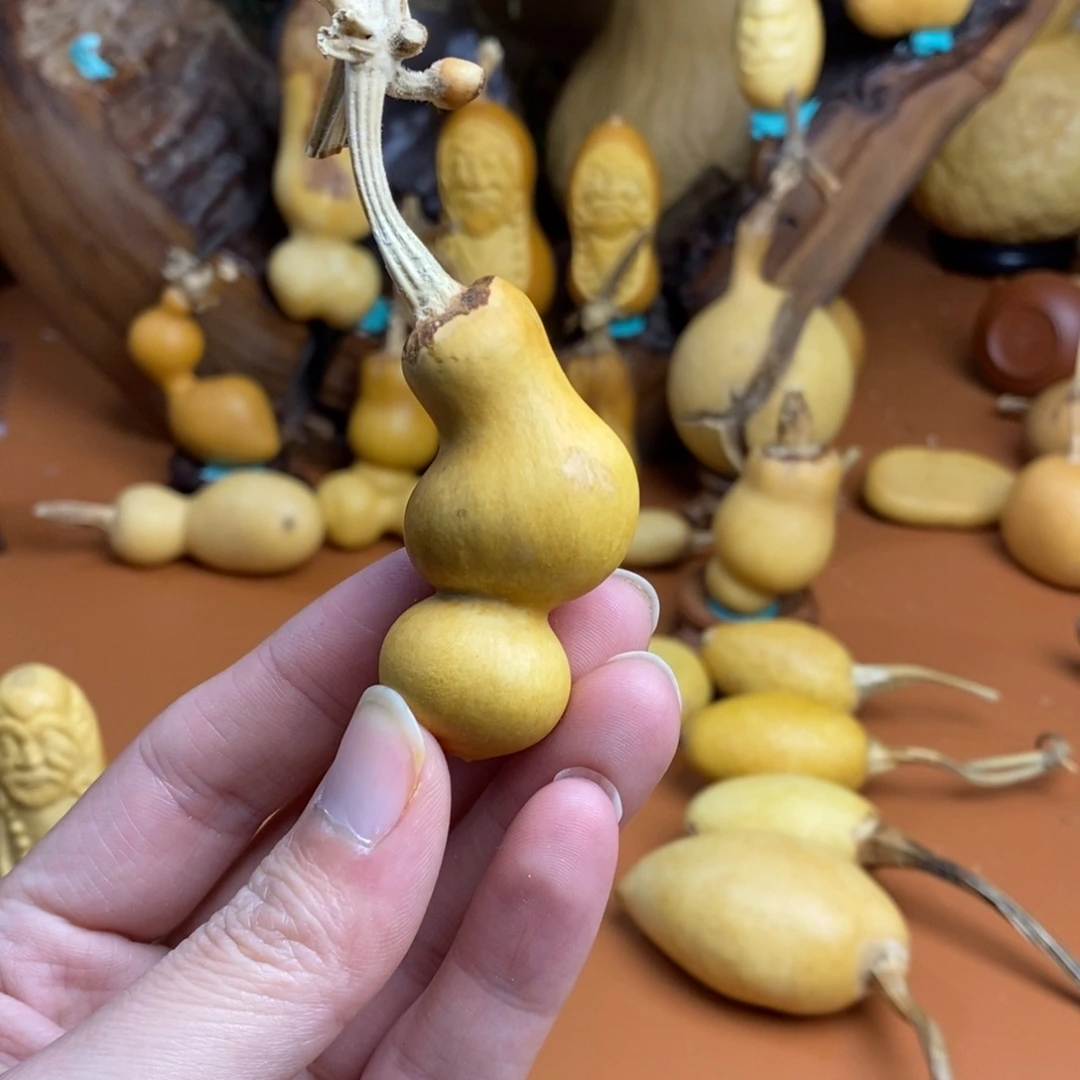 *****阿拉教练咯教练咯