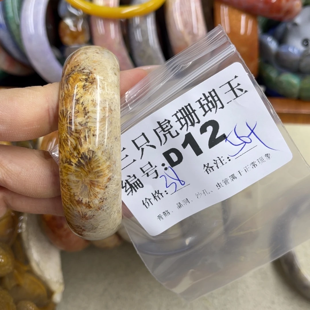 *****硅化珊瑚（珊瑚玉）未镶嵌h