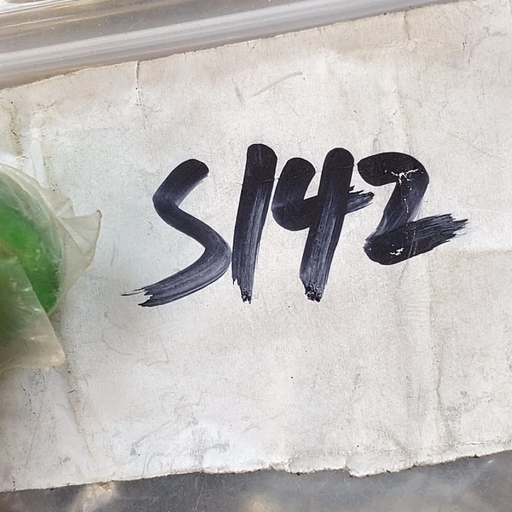 相***沫德宝文玩专属链接