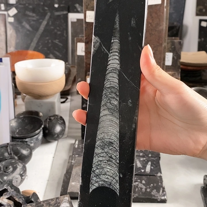 8***3角石化石茶盘镇尺