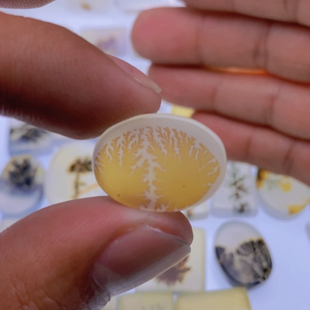 玛瑙/玉髓颈饰未镶嵌鱼**水