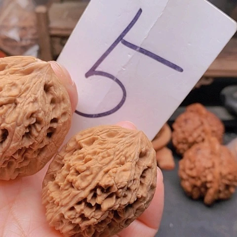 吊坠桃核36全品九龙筋