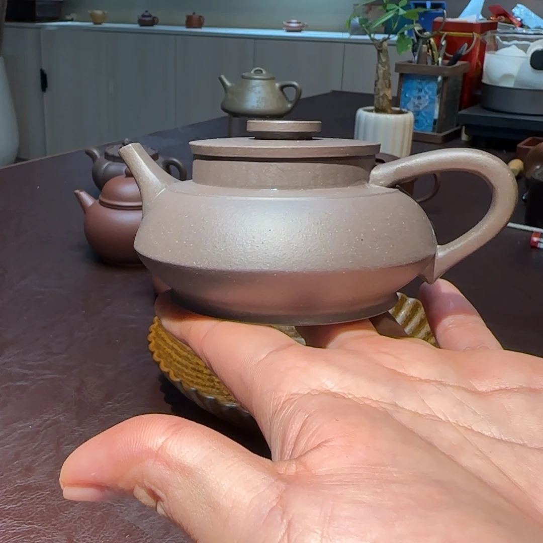 紫砂原矿大水潭半手工钱币壶170cc