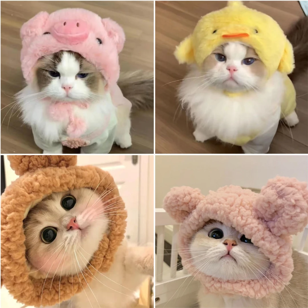 小猪咪猫咪帽子小鸡宠物头套熊猫小熊狗构帽子头饰变装帽网红