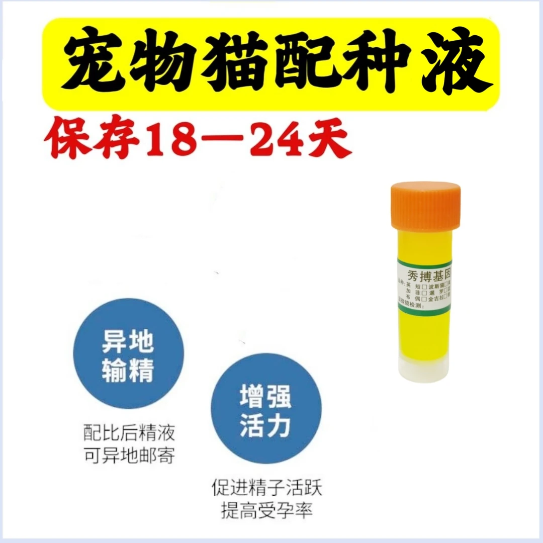 宠物猫配种精子营养液纯种蓝猫缅因人工配种精液英短美短猫咪冻精