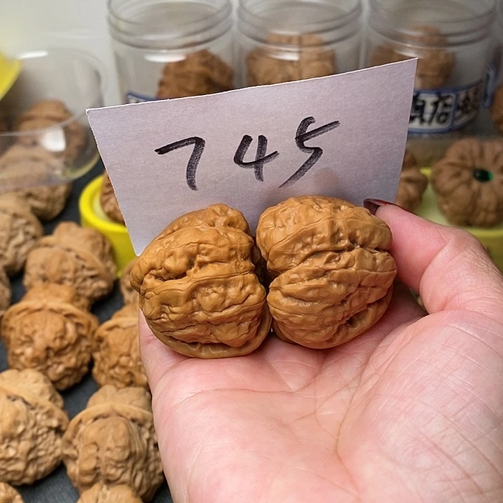 核桃蛤蟆39尺长的大