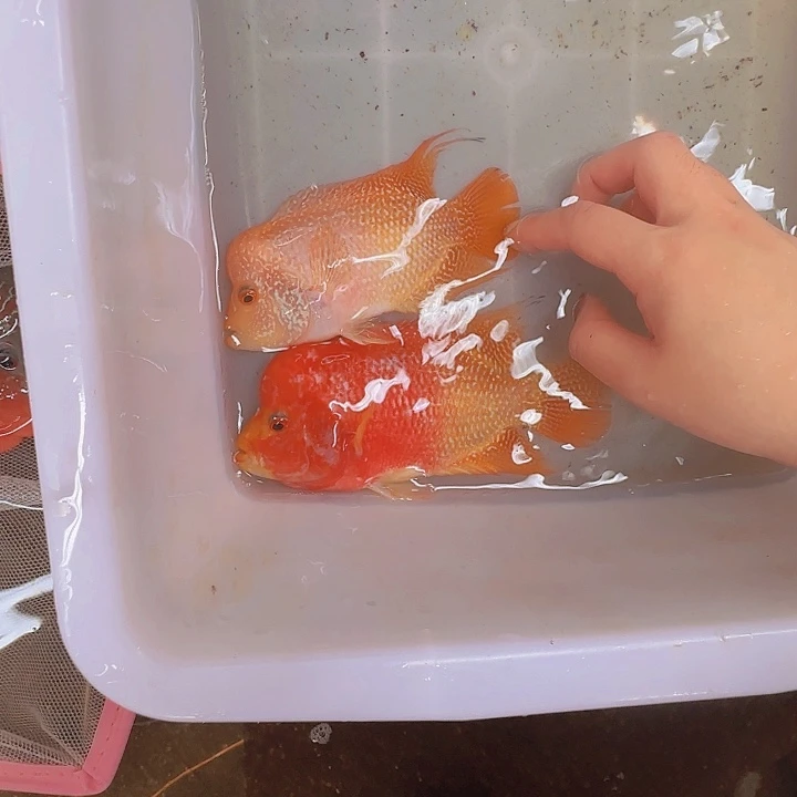 海水啊啊啊啊啊啊