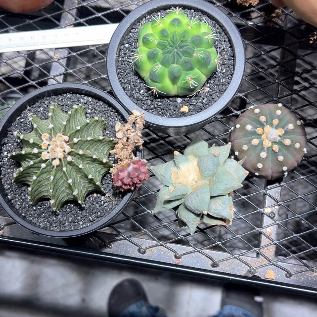 r***o哈哈哈哈哈哈哈哈哈哈哈哈哈哈