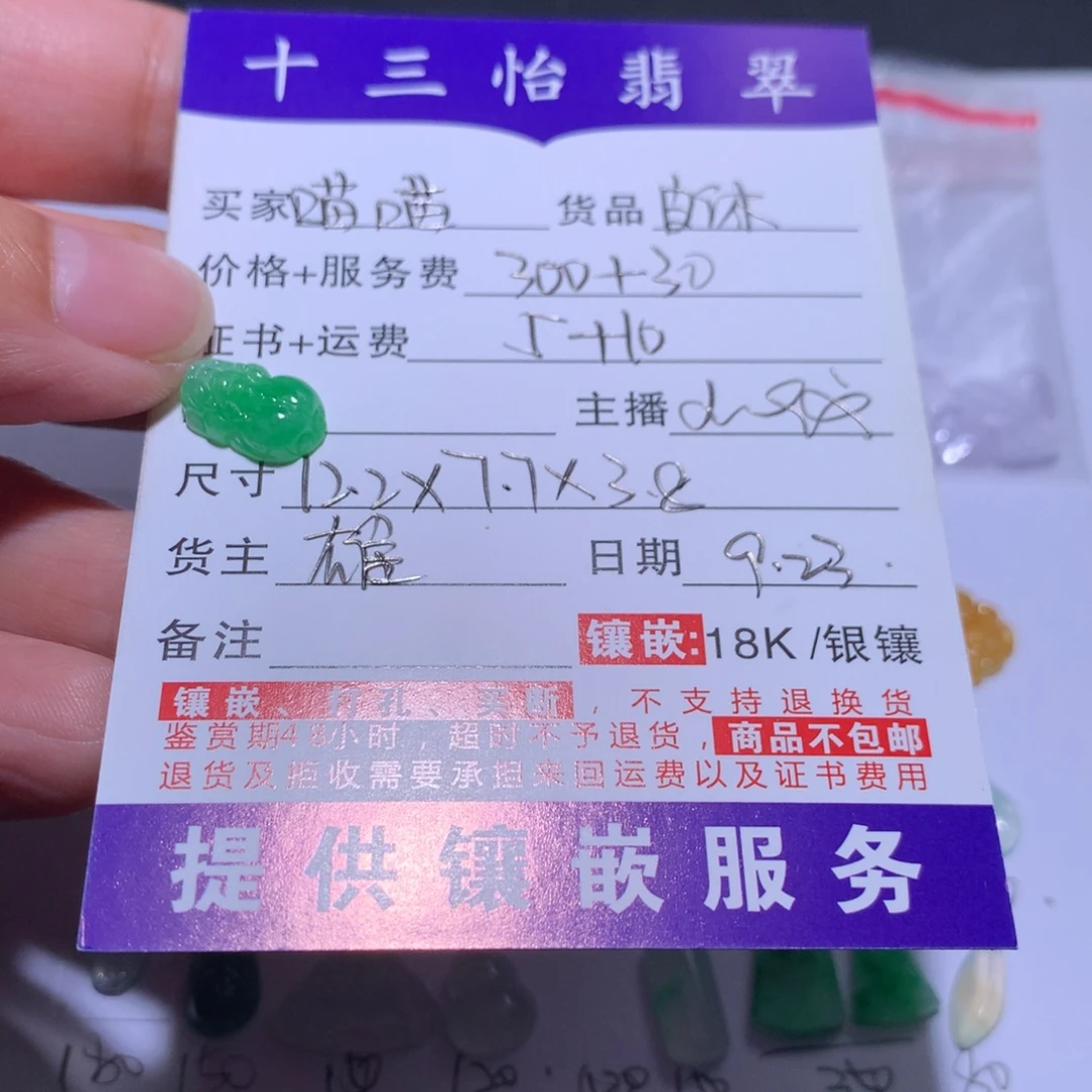 喵***宝颈饰未镶嵌翡翠貔貅
