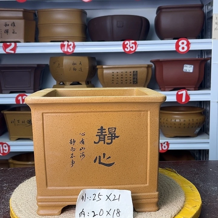 花盆紫砂你在一起