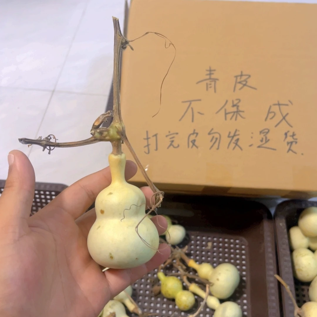 只***好感谢大哥支持兄弟，不保成