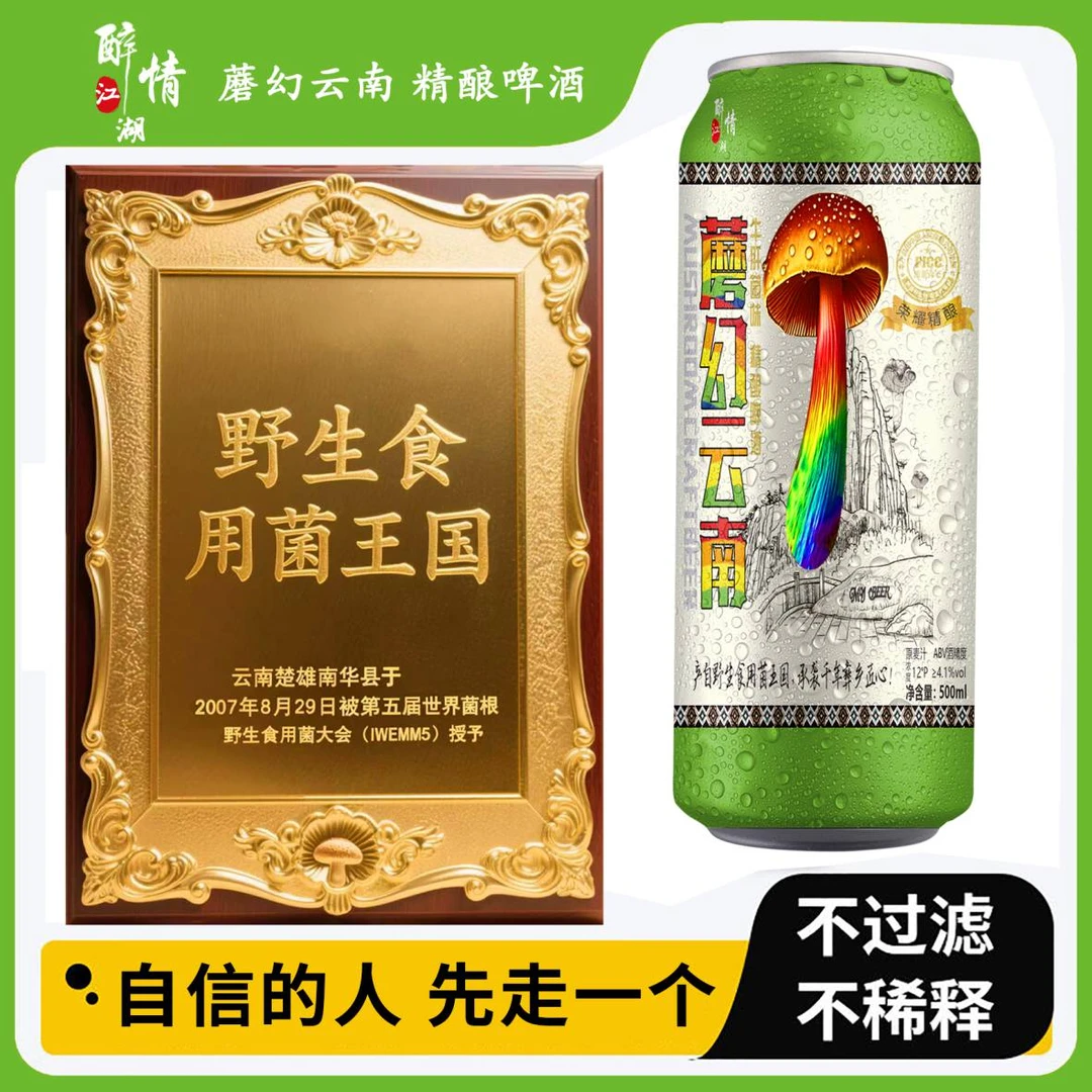 蘑幻云南牛肝菌味精酿啤酒500ml【厂家直销，非代工】