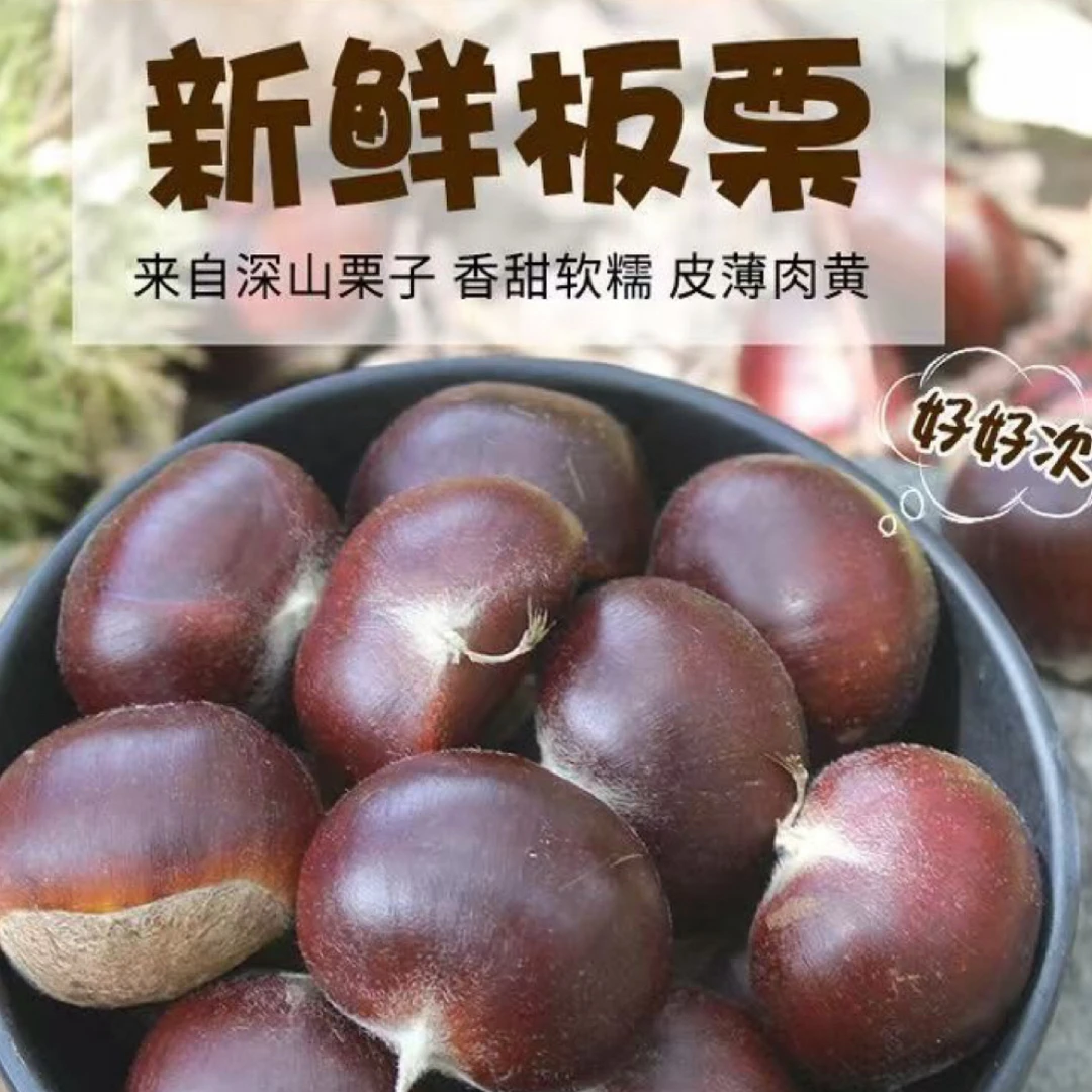 河南信阳新鲜带壳板栗现摘甜栗子粉糯香甜包邮