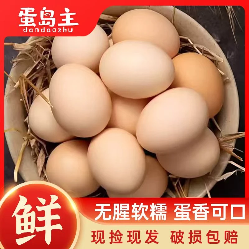 【破损包赔】蛋岛主山林散养新鲜土鸡蛋营养健康50枚一箱