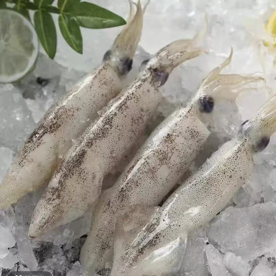 小妮家 野生新鲜笔管鱼海兔 无添加 6条左右/包 250g/包 发9包