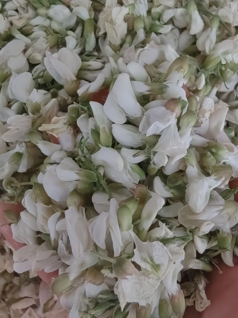 2025新鲜速冻冷冻发货羊槐花槐花槐花骨朵野菜蔬菜美味/1斤