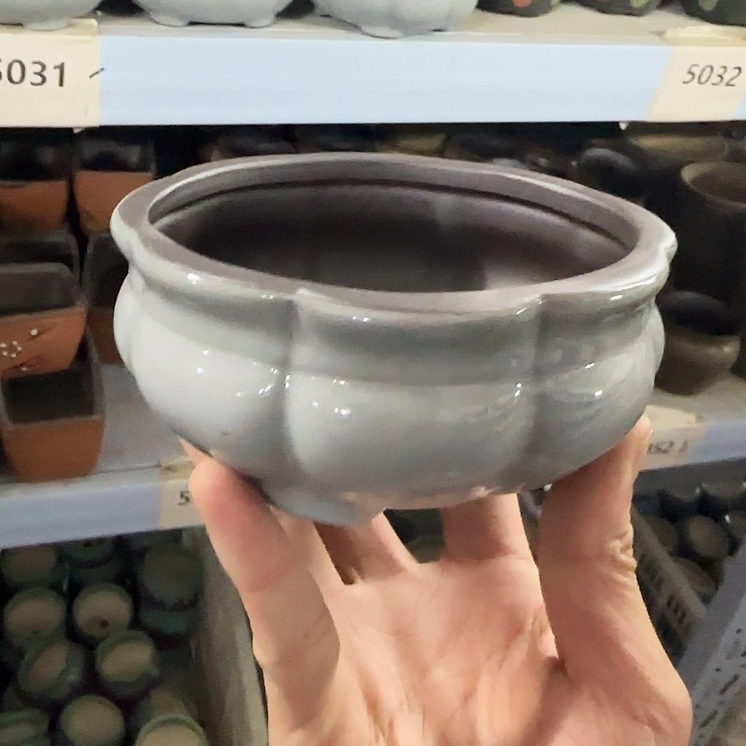 陶瓷福利局·自动合并订单·一个个买凑9元发·5031