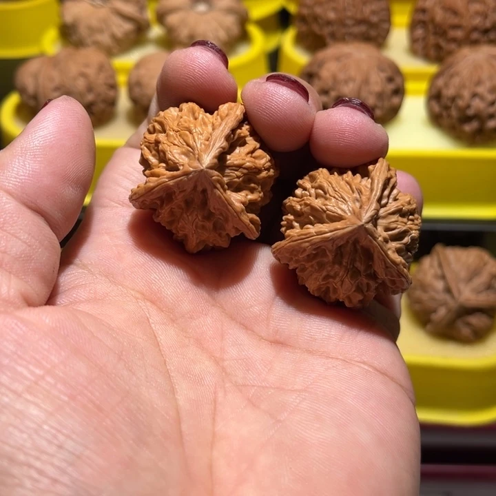宽****桃核吊坠盘山三棱全品