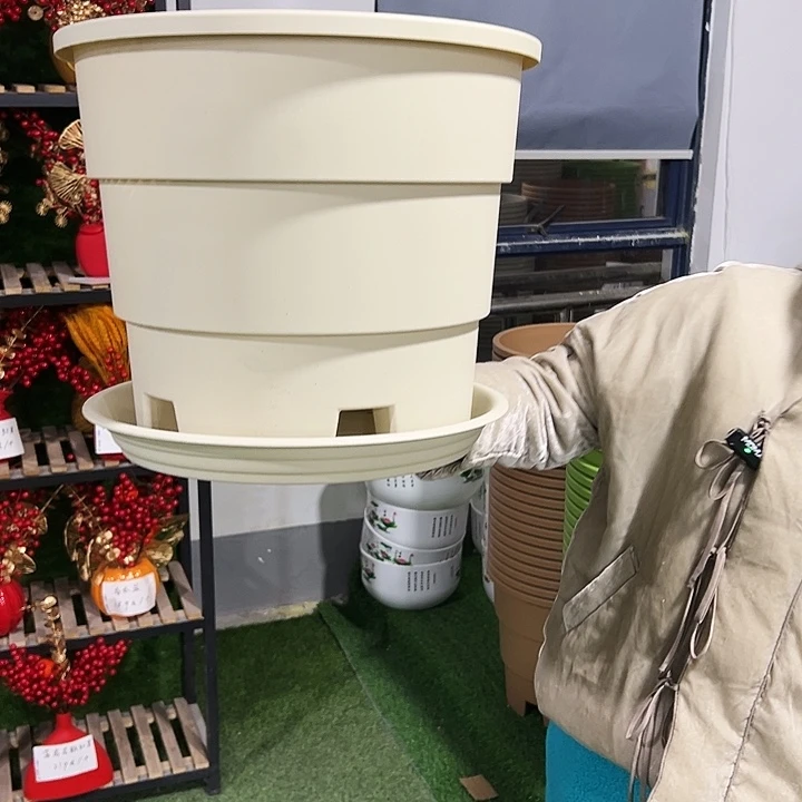 正品蓝莓盆口39高33米色3只带托