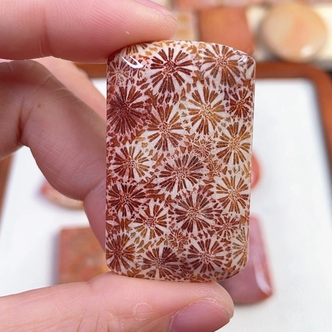 【闪购商品】硅化玉手串未镶嵌鱼**水