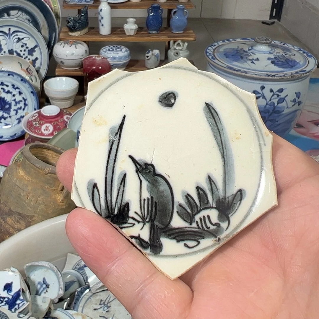瓷片瓷片标本，全场包邮