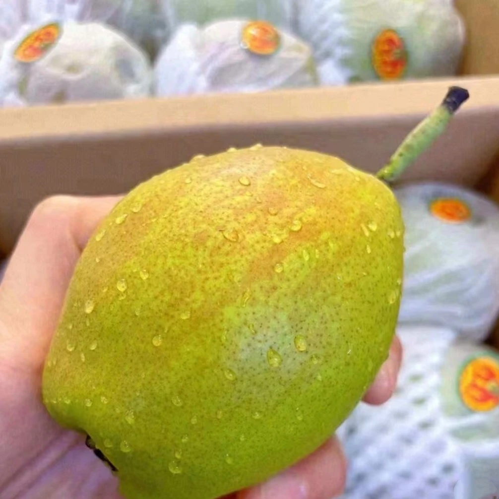 库尔勒香梨/8个约900克