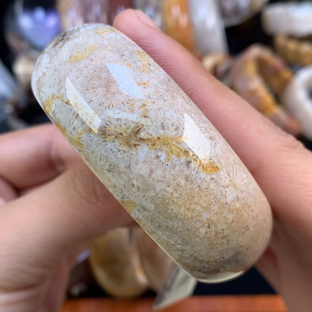 【闪购商品】颈饰未镶嵌硅化珊瑚（珊瑚玉）37号57.3圈双面大花