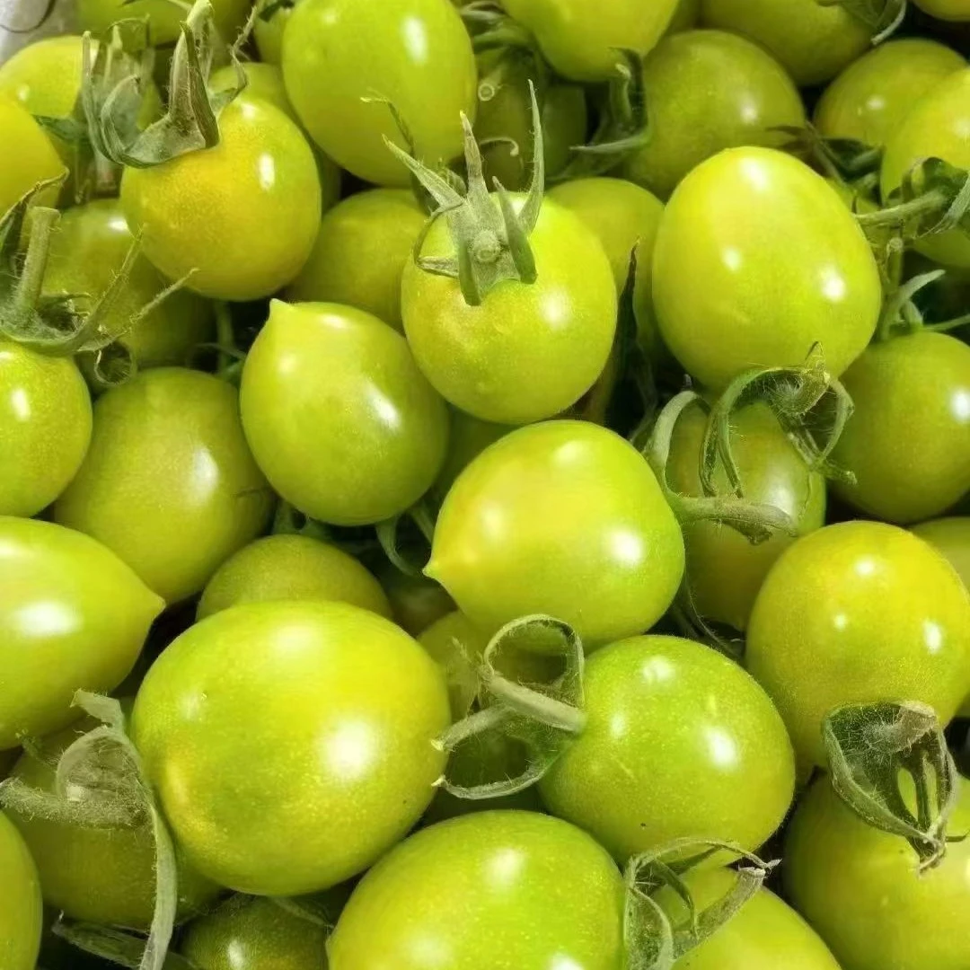 清甜小番茄。清甜多汁口感好！3斤拍