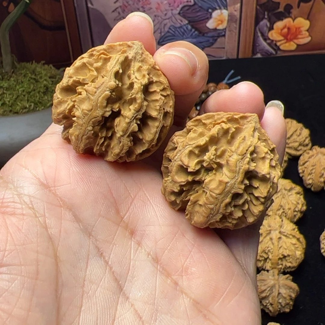 文玩核桃把件秦岭野生文玩核桃