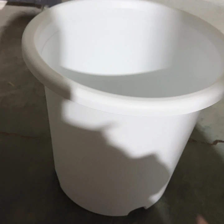 四季8号纯白无托5个特价微瑕