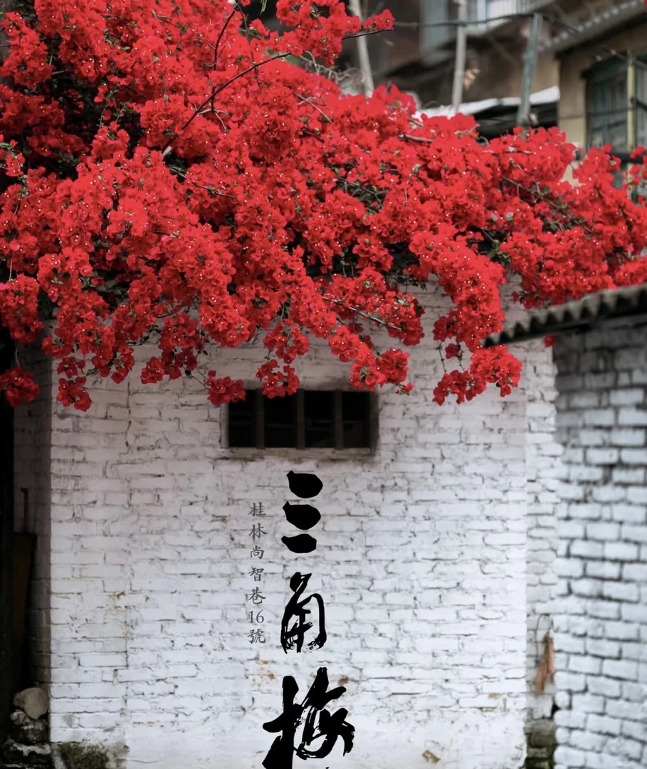 嫁接多色一物一拍