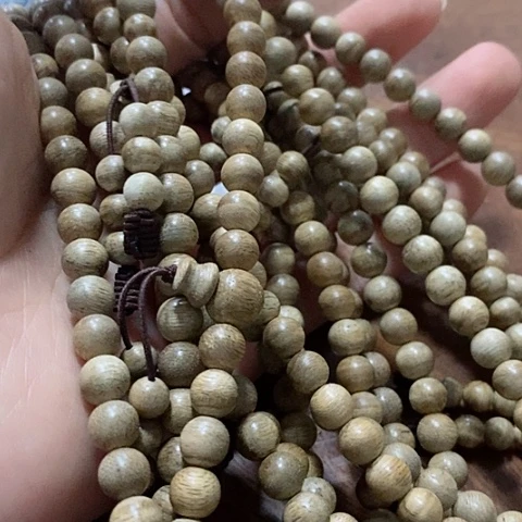 达拉干07/108猪猪一样（福利04
