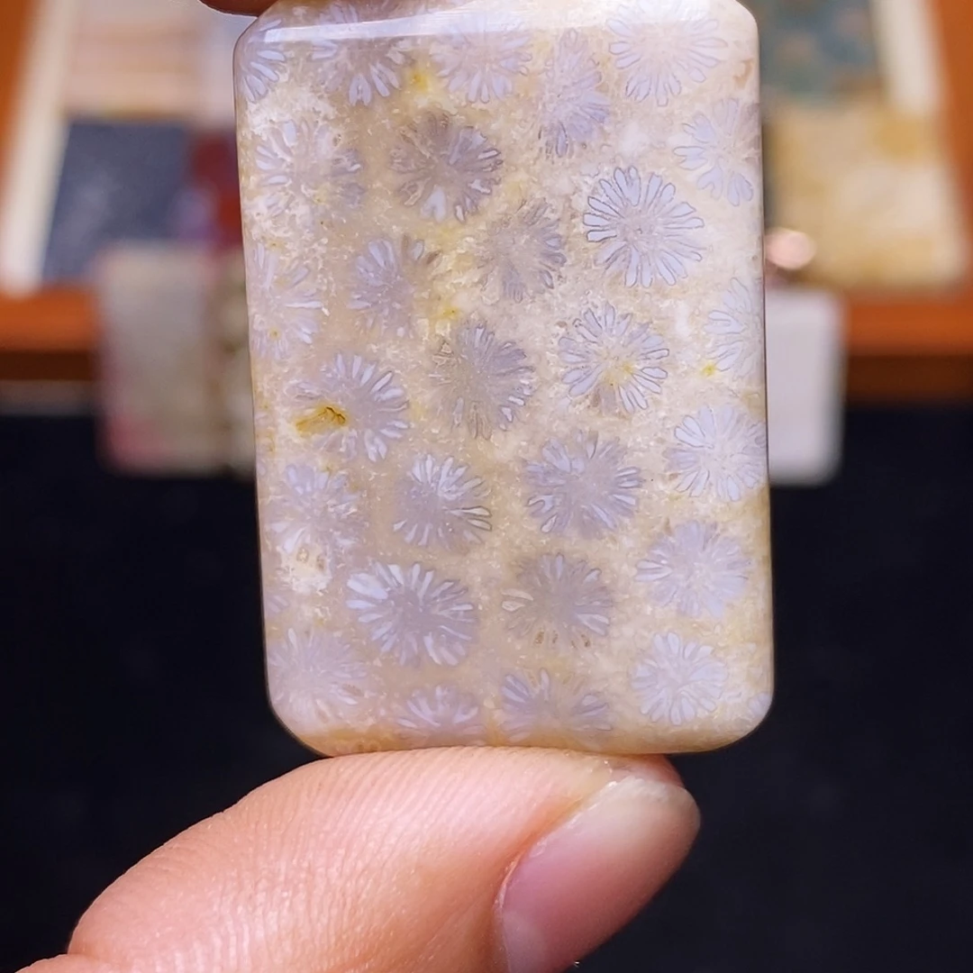 觉***C合金珊瑚玉硅化玉